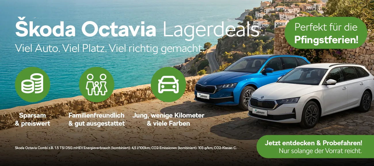 Skoda Octavia Lagerdeals
