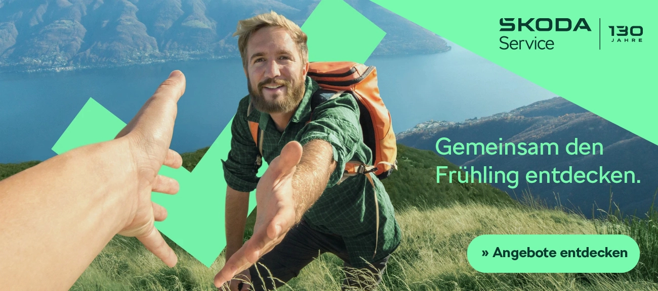 Skoda Service