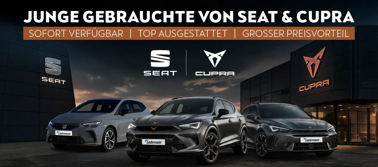 Slider Seat Cupra Junge Gebrauchte
