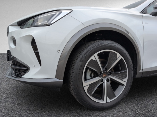 Formentor 2.0 TSI DSG 4Drive RÜKA+AHK+NAVI+eHECK