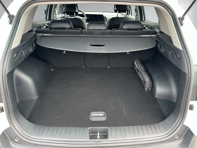 Sportage 1.6 T-GDI Plug-in Hybrid ALLRAD AHK+RFK