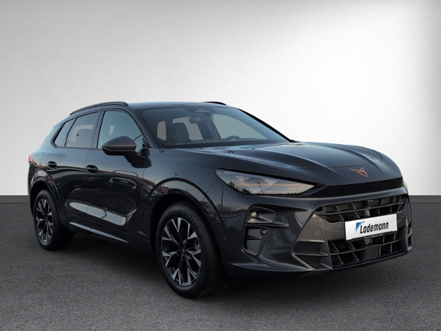 Terramar 1.5 eTSI DSG AHK+LED+NAVI+RFK+ACC+SIHZ+