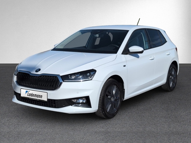 Fabia 1.0 TSI DSG TOUR LED+KAMERA+NAVI+SITZHEIZ+