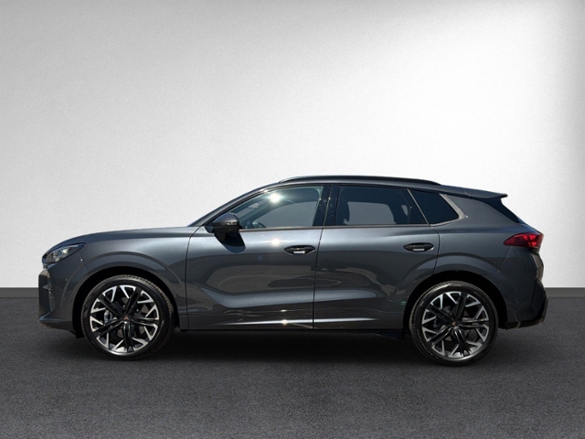 Terramar 2.0 TSI 4Drive AHK+HEAD-UP+RFK+MATRIX+N