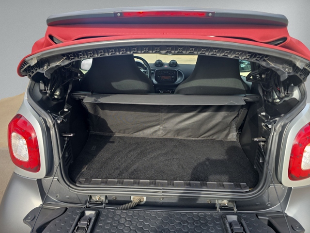 fortwo cabrio passion COOL&AUDIO LED+GRA+SH+NSW+