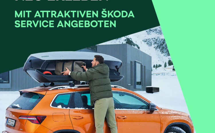  Skoda Winter Service