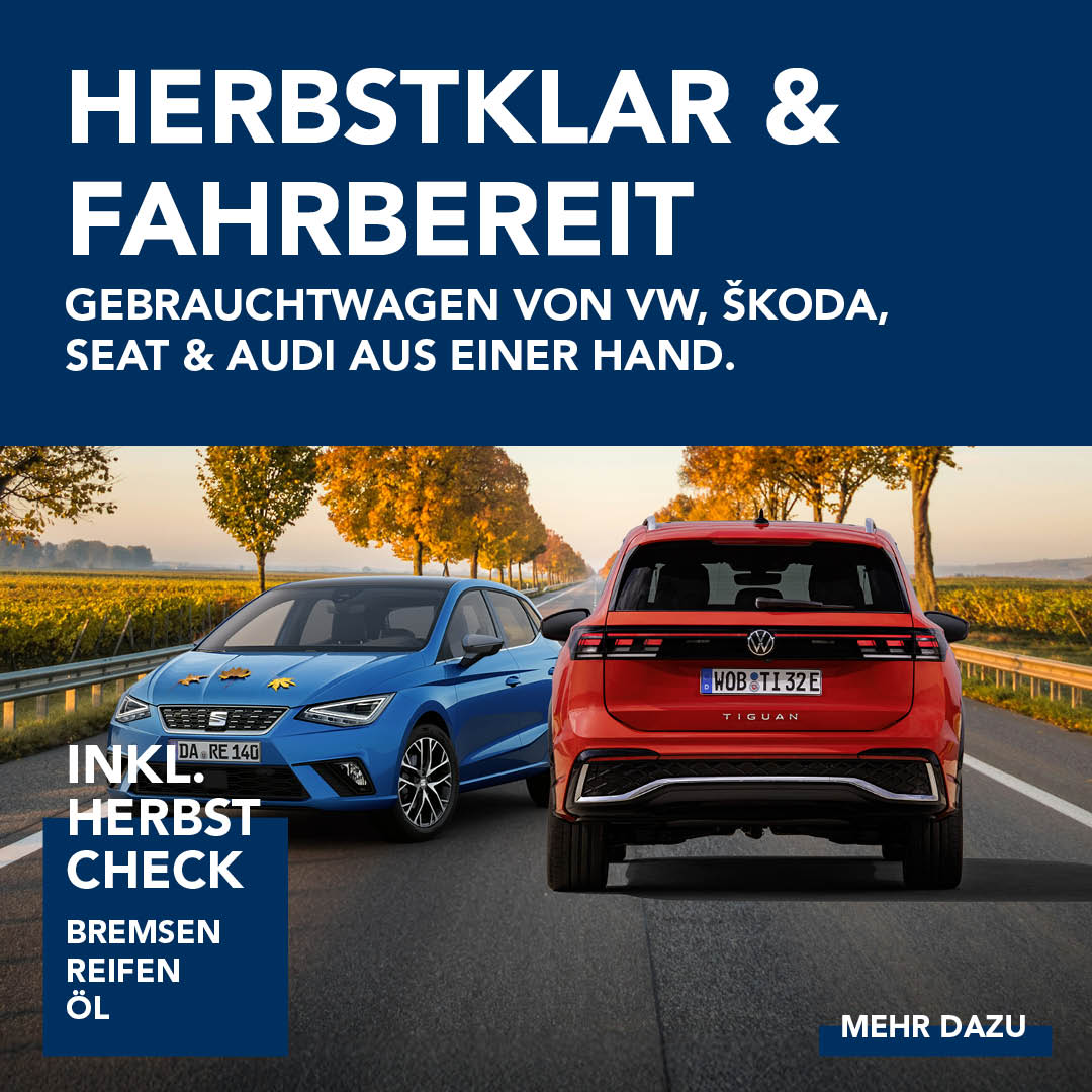 BEITRAG Gebrauchtwagen diverse Marken Herbst 2025