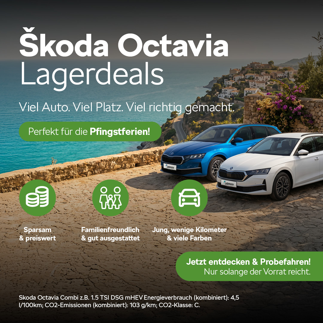 BEITRAGSBILD SKODA OCTAVIA LAGERABVERKAUF